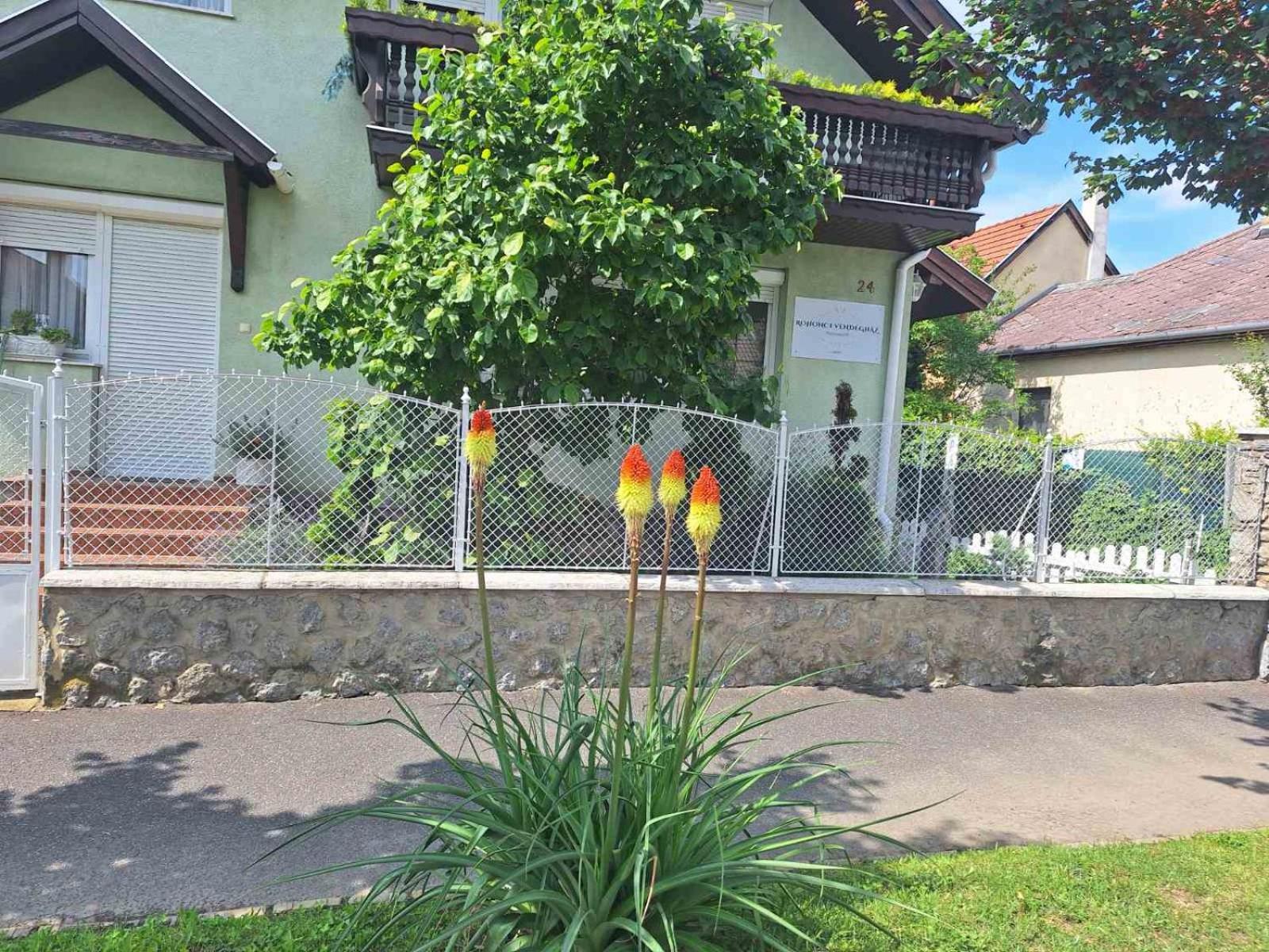 Rohonci Vendeghaz Hotel Koszeg Luaran gambar